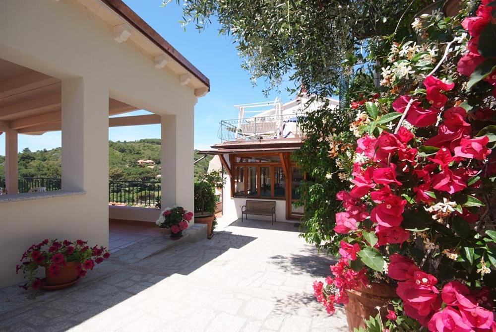 Hotel Alma Fetovaia Εξωτερικό φωτογραφία